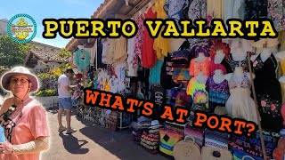 Puerto Vallarta Cruise Port Survival Guide – 2023