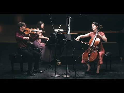 accio piano trio - Sonderkonzertfilm