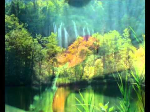 The Wild Theme/Going Home