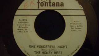 Honey Bees - One Wonderful Night - Good 60's Girl Group Sound