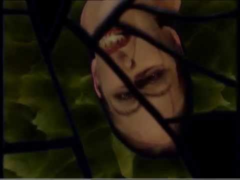 Medusahead: a video-opera clip for decapitated soprano and 3D animated snakes