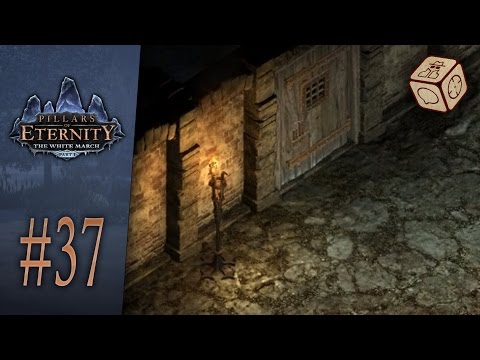 What waits bellow - Let's Play Pillars of Eternity: The White March #37