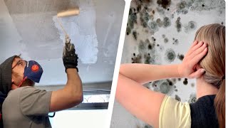 איך להשמיד עובש בקלות | טיפ חשוב להסרת עובש