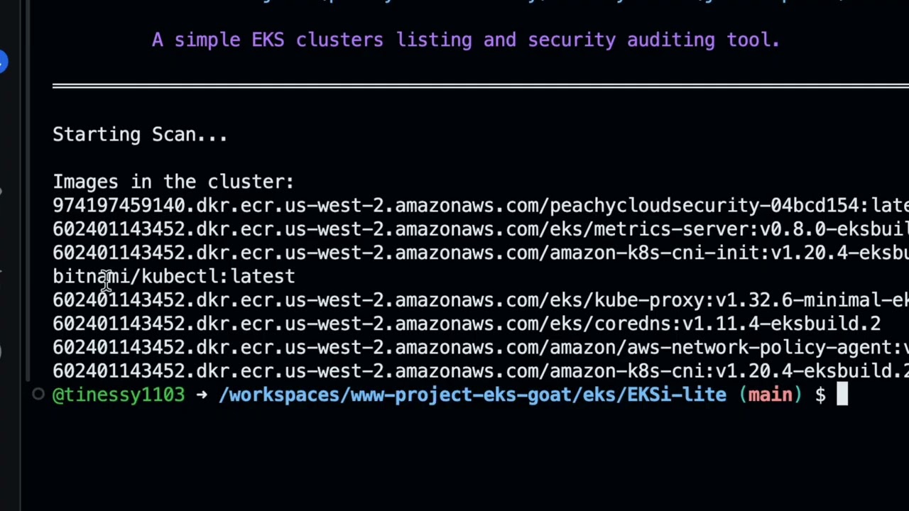 Black Hat Arsenal Demo: EKSi Lite – Simple Lightweight EKS Cluster Listing & Security Tool