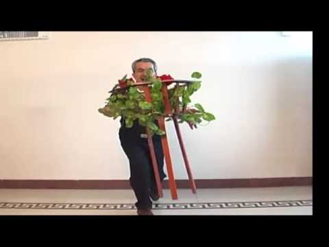 Hamed Flying Flower Vase - Tora