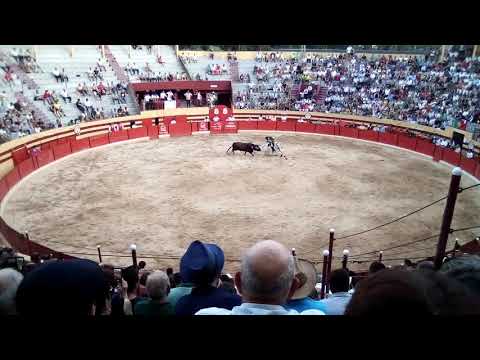 Cavaleiro Filipe Gonçalves em Abiúl 2018