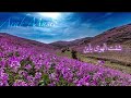 Fairuz - Jayebli Salam ( Lyric Video) فيروز - جايبلي سلام