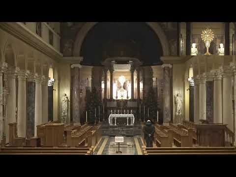 National Shrine of St. Maximilian Kolbe - Livestream
