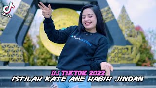 Download lagu DJ ISTILAH KATE ANE HABIH JINDAN REMIX FULL BASS TIKTOK VIRAL TERBARU 2022 || DJ ABANG RIMEX mp3