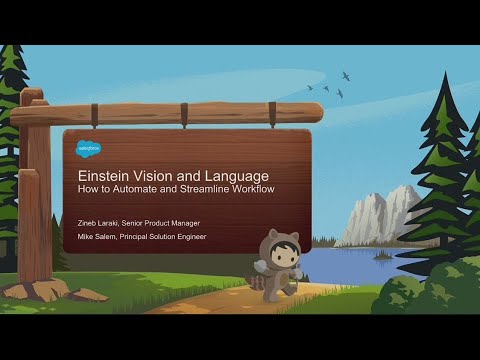 Develop Intelligent Systems & Feedback Loops with Einstein Vision & Language