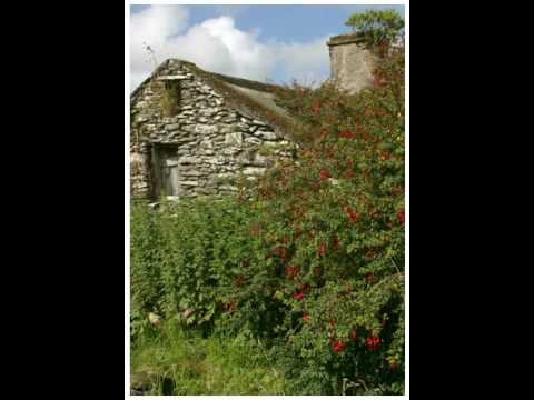 Tanja The Voice Squad The Cocks Are Crowing