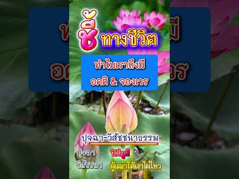 คลิกเพื่อดูคลิปวิดีโอ