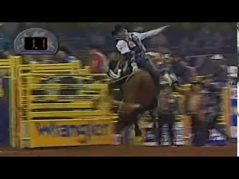 Pandora's Box bucks Michael Gaffney - 04 PBR Guthrie