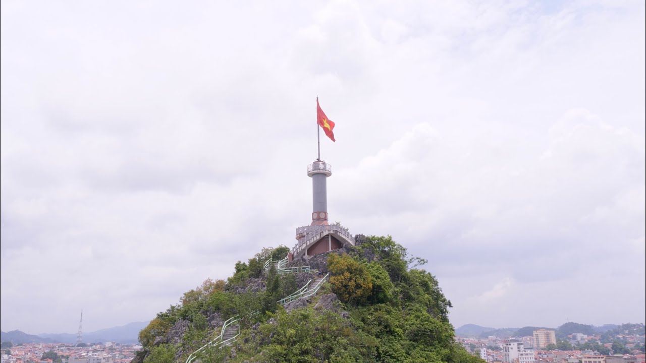 A Pivotal Player: Vietnam's Ongoing Fight Against the Illegal Wildlife Trade