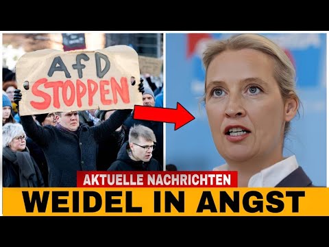 Alice Weidel DREHT DURCH, während Hamburger Grüne das Parlament AUFFORDERN, die AfD zu VERBOTEN