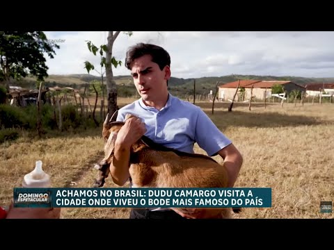 Achamos no Brasil: Dudu Camargo visita cidade do bode mais famoso do país em busca de um sucessor