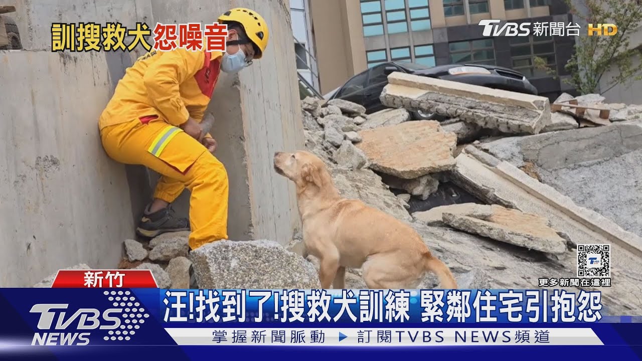 汪！找到了！搜救犬訓練　緊鄰住宅引抱怨