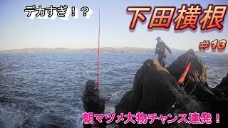 ＃13【下田横根】朝マヅメチャンス！デカすぎ！？