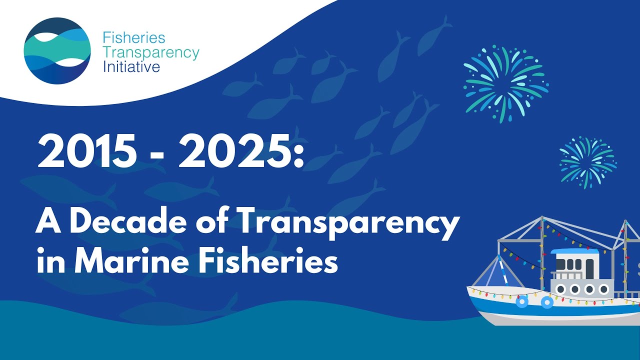 2015-2025 - A Decade of Transparency in Marine Fisheries