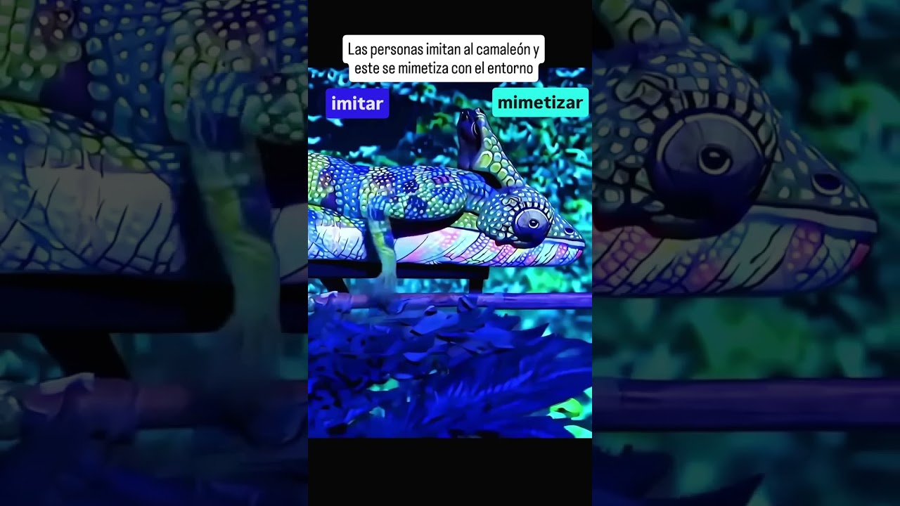 Diferencia "imitar" de "mimetizar".#ortografía #morfología #aprendelexico #PAU #spanishteacher