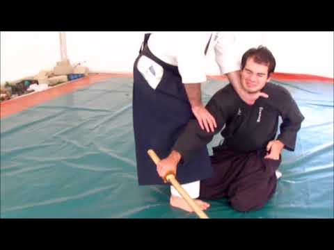 Ogawa Ryu - 柔術 - Jujutsu - Collectanea