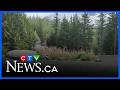 Hiker called 911 two days after going missing