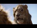 The Lion King 2019 Mufasa S Death Hebrew Blu Ray
