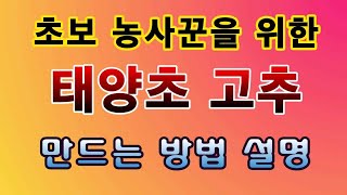 [텃밭농부. 1,180]  초보 농사꾼을 위한. 태양초고추 만드는 방법설명 #고추재배 #태양초