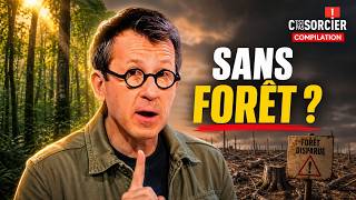 L’homme peut vivre sans forêt ? - C'est pas sorcier