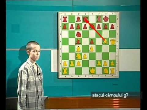 Emisiunea 43 arhiva: "atacul campului g7"