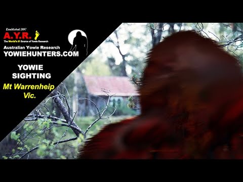 Yowie / Bigfoot Sighting (Audio Report #170) at Warrenheip, Victoria