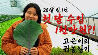 첫달 수확으로 1천만원 버는 26살ㅣ 안정적인 은퇴 후 귀농 방법 ㅣ 청년귀농ㅣ귀농귀촌 고은이의 귀농일기 E…