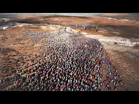 Invasion Of Battle Land | Ultimate Epic Battle Simulator 2 | UEBS2