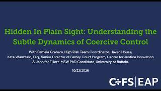 Hidden in Plain Sight Understanding the Subtle Dynamics of Coercive Control