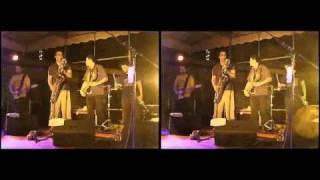 3D Live Music - Afrodizz @ Grand Parc Bordeaux (08/07/2010) Extrait 05