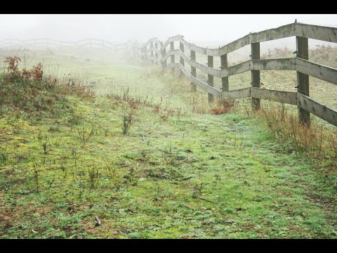 a férfinak petyhüdt pénisze van rendszeres merevedéssel