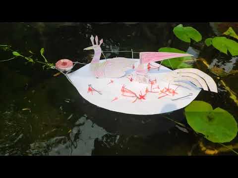 Backyard Lily Pond, kartika purnima