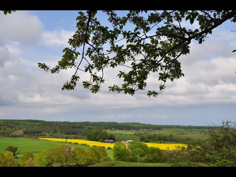 Brösarps Backar - Hügellandschaft unter Wolkenbergen