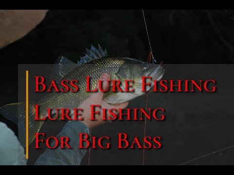 Bass Lure Fishing - Lure Fishing For Big Bass