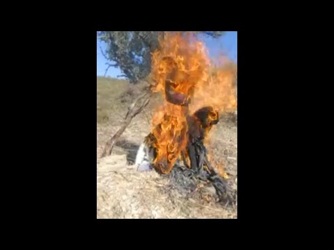 Sankt Hans  🧙‍♂️👉🧙‍♀️