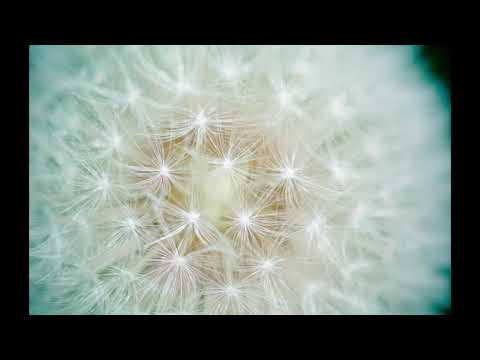 Muzica de meditatie si relaxare profunda