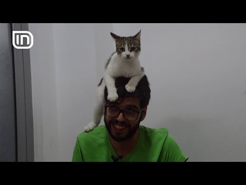 Life is Better with Friends 26072017 - Macet qe hidhen nga ballkoni