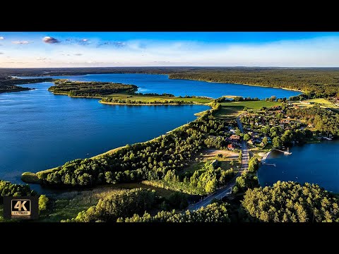 Bory Tucholskie, Małe Swornegacie, Oak Bartuś