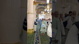 Download lagu Masjid Al Nabwi inside Ziyarat💚🌹#madina #rasoolallah #darood #masjidnabawi #shorts #ytshorts #love mp3
