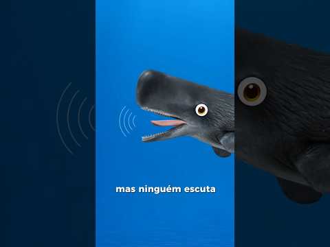 Essa baleia grita mas ninguém escuta ela