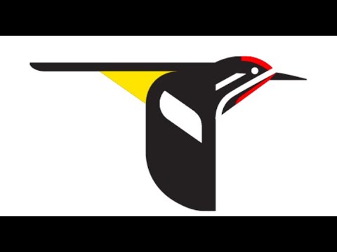Birds of A Feather: The Making of a Video on How to Identify Local