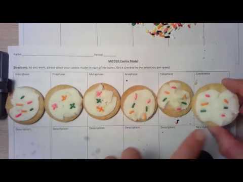 Edit Your Oreo Mitosis Lab With Ease Online