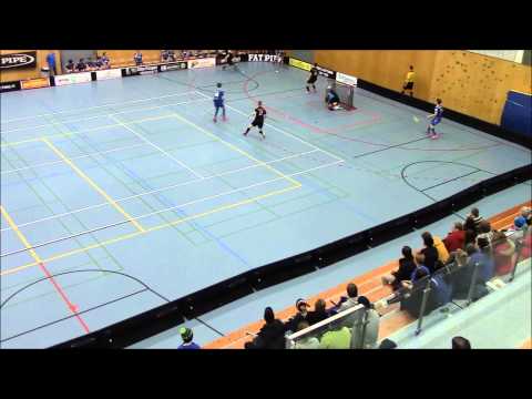 Maalikooste LeBa 96   OuPa  6 3 2015