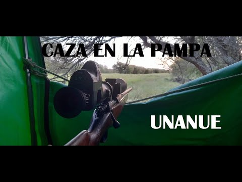Caza de Jabali en La Pampa - Unanue
