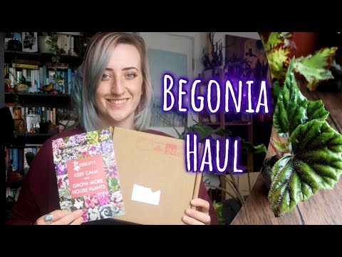 Dibley's Nurseries Begonia Haul | UNBOXING